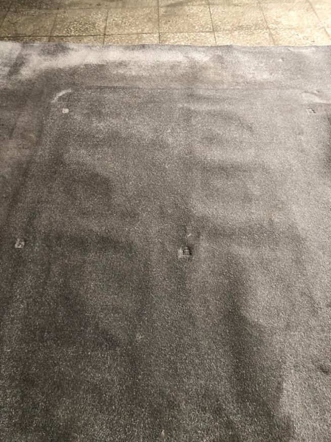 ۲ عدد ۹ متری پالاز موکت|موکت|تهران, ستارخان|دیوار