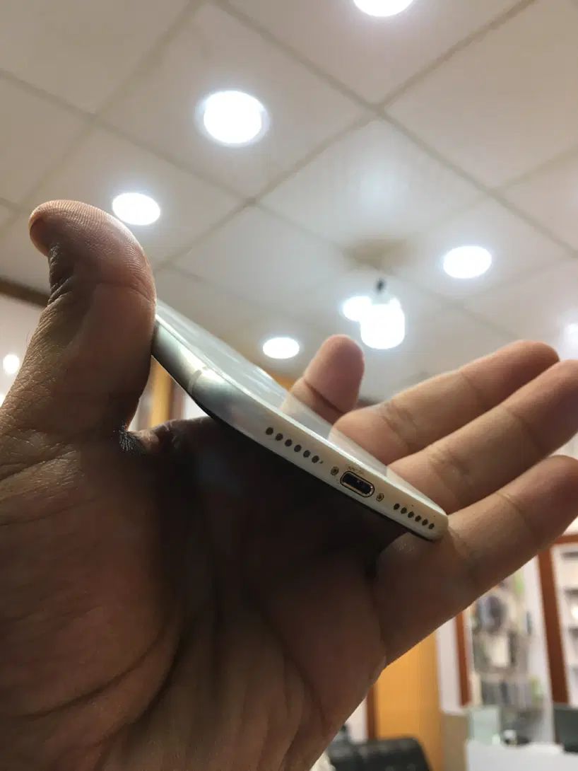 iPhone Se2020 سفید|موبایل|تهران, دانشگاه شریف|دیوار