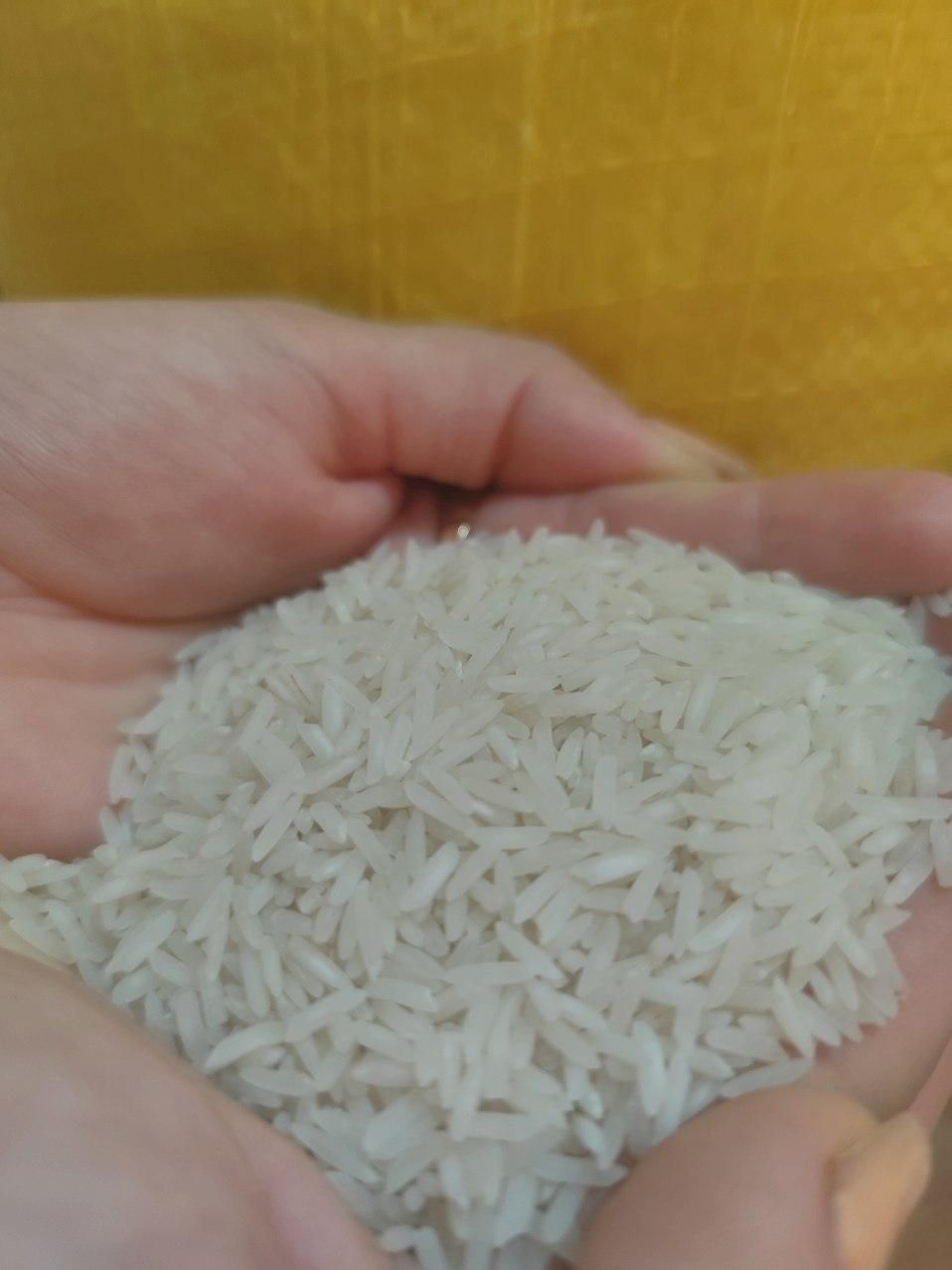 برنج گیلان خوشپخت و طعم سورتینگ شده|خوردنی و آشامیدنی|کرج, شهرک یاس شمالی|دیوار