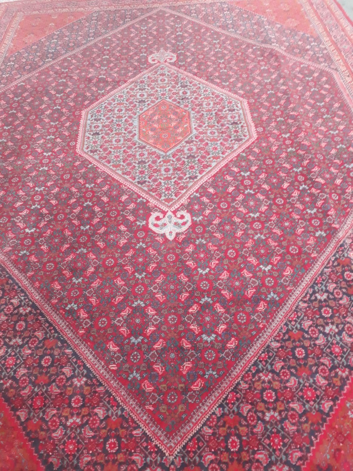 خریدار و فروش انواع فرش ماشینی ودست بافت|فرش|فردیس, طالقانی|دیوار