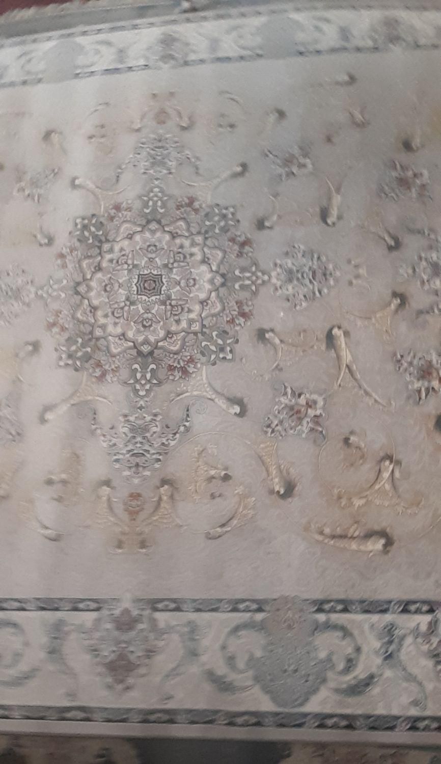 سلام کسی فرش میخواد پیام بده|فرش|میناب, |دیوار
