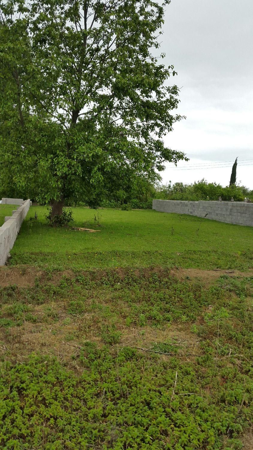 ۳۰۰مترزمین کوهپایه با مجوز ساخت ،پونل|فروش زمین و ملک کلنگی|رضوانشهر, |دیوار