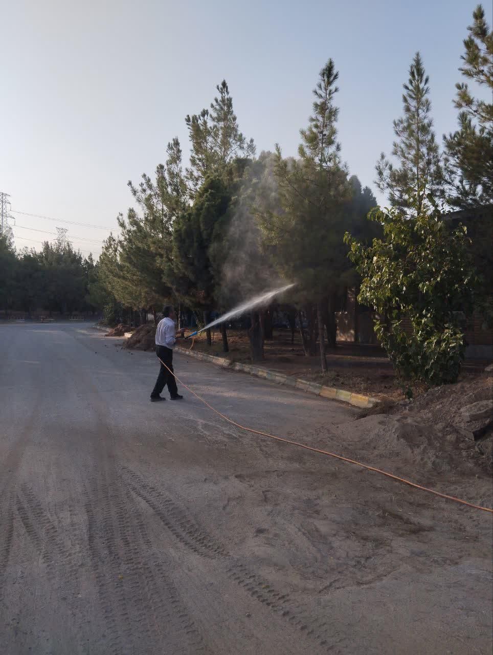 خدمات باغبانی . علف زنی .تیلر. سمپاشی. هرس|خدمات باغبانی و درختکاری|مشهد, کوی سیدی|دیوار