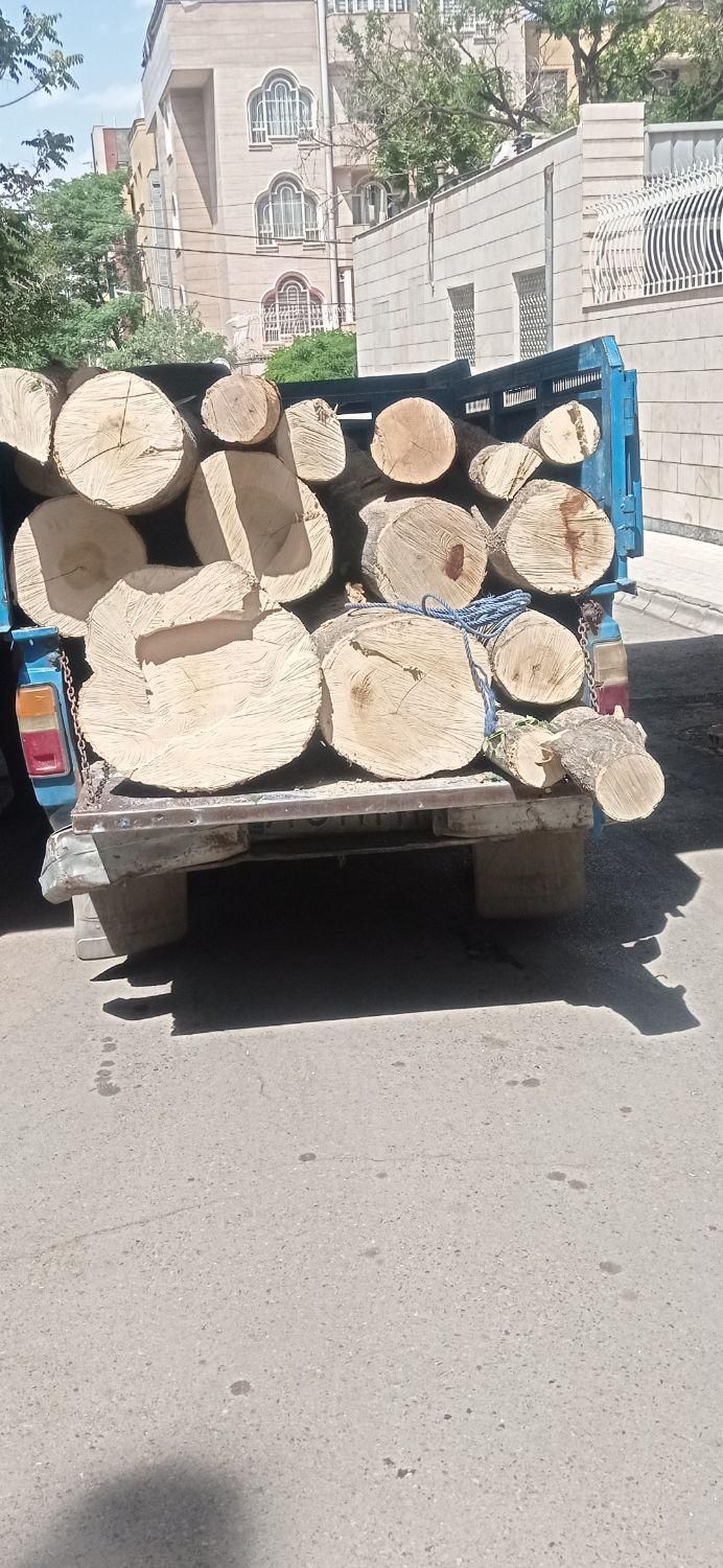 خرید چوب باغی سقفی به صورت|خدمات باغبانی و درختکاری|مشهد, توس (بلوار توس)|دیوار