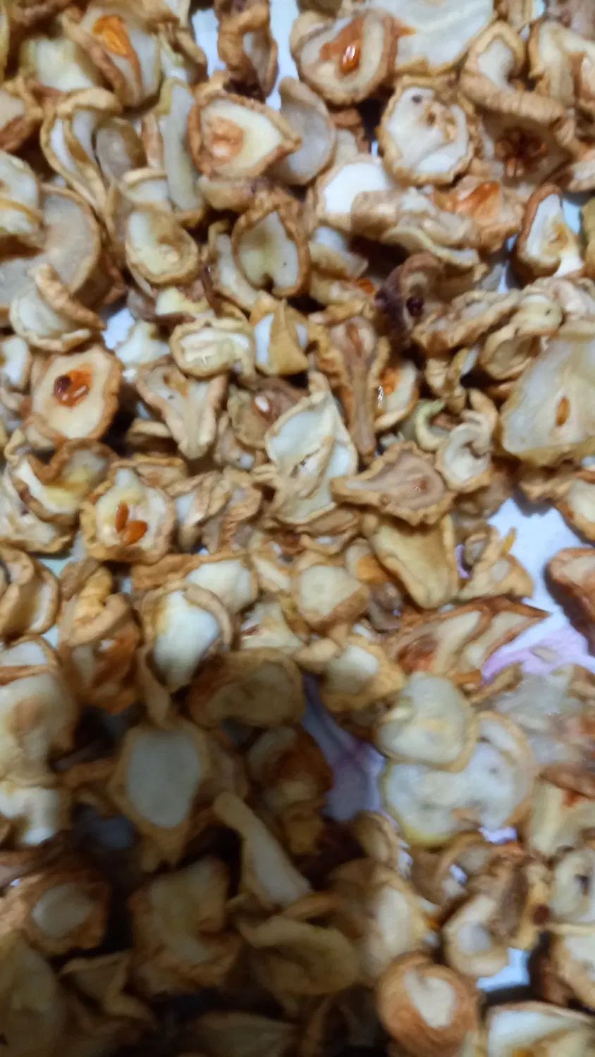 لواشک ،آلو افتابی ،برگه کلابی ،خاکشیر ،آلوچه|خوردنی و آشامیدنی|مشهد, رده|دیوار