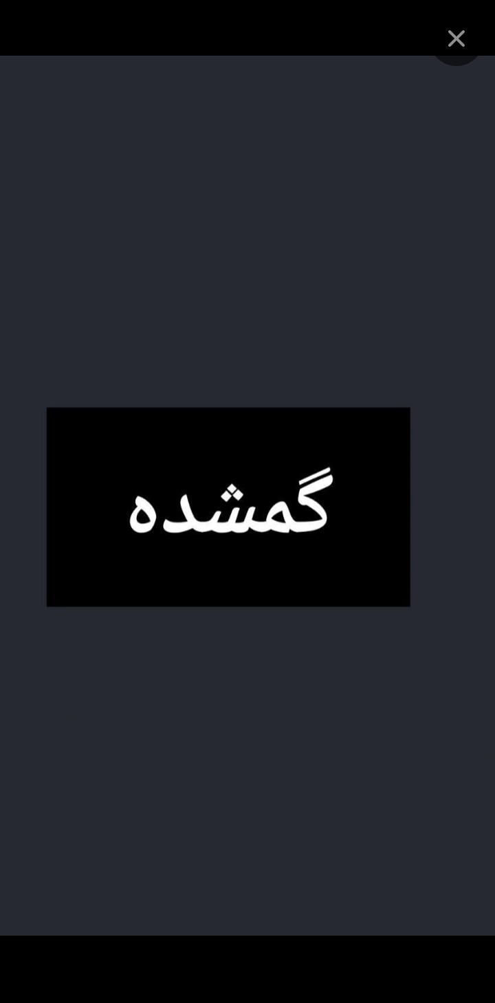 سگ پیدا شده در شهریار حوالی شهرک وایین|حیوانات|کرج, شهریار|دیوار