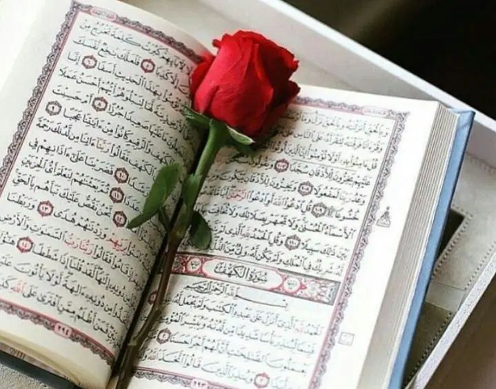 ختم قران و صلوات|فعالیت داوطلبانه|مشهد, توس (بلوار توس)|دیوار