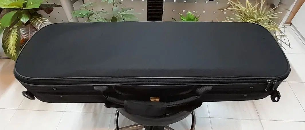 ویلون amati 160 اصل original|ویولن|اصفهان, نقش جهان|دیوار