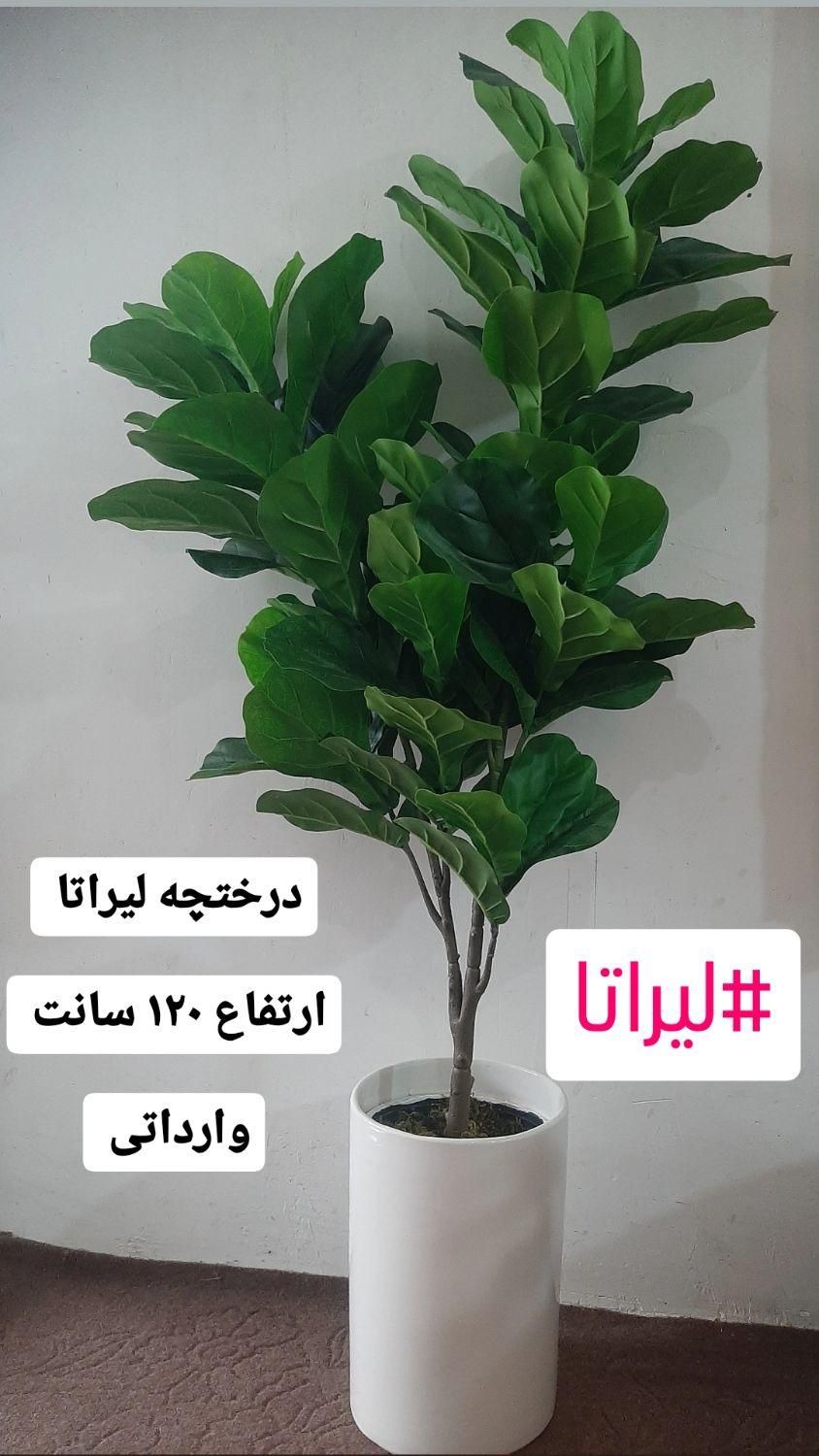 گل و درختچه مصنوعی|گل مصنوعی|رشت, بازار|دیوار