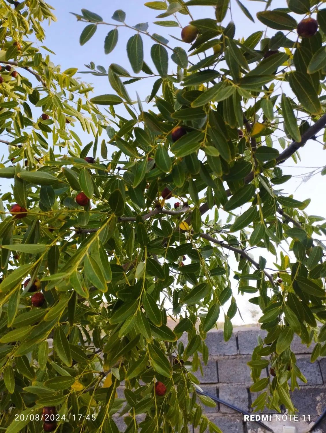 تصویر 7