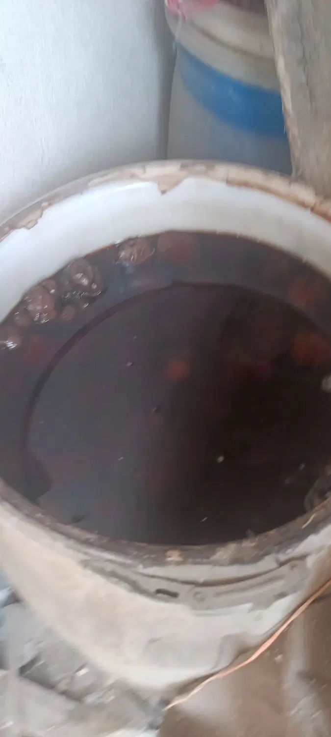 سیر ترشی 7ساله عالی به شرط|خوردنی و آشامیدنی|تهران, هرندی|دیوار