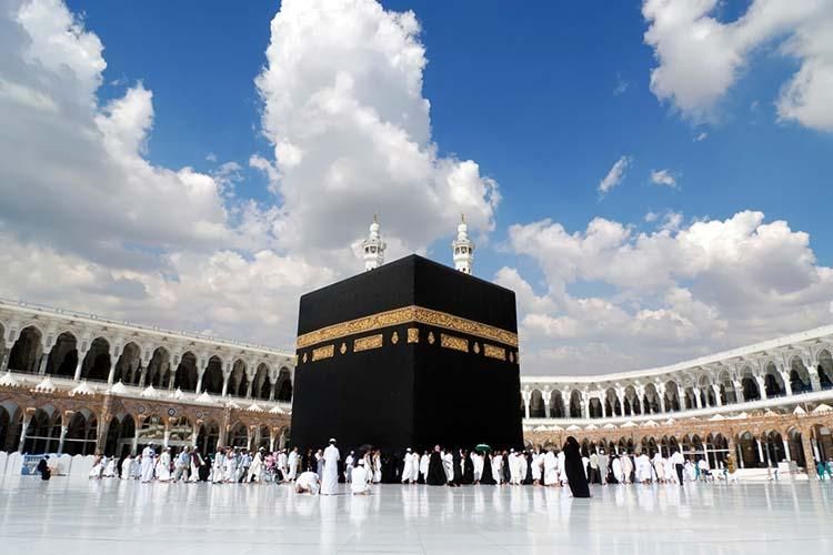 فروش فیش حج تمتع|تور و چارتر|تهران, مجیدیه|دیوار