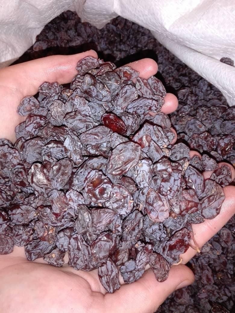کشمش بوانات مویز دشمن زیاری کشمش بیضا|خوردنی و آشامیدنی|شیراز, شهرک مدرس|دیوار