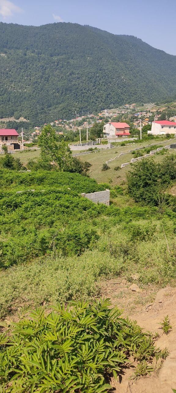 330 متر زمین واقع در سوادکوه روستای کارمزد|فروش زمین و ملک کلنگی|آلاشت, |دیوار