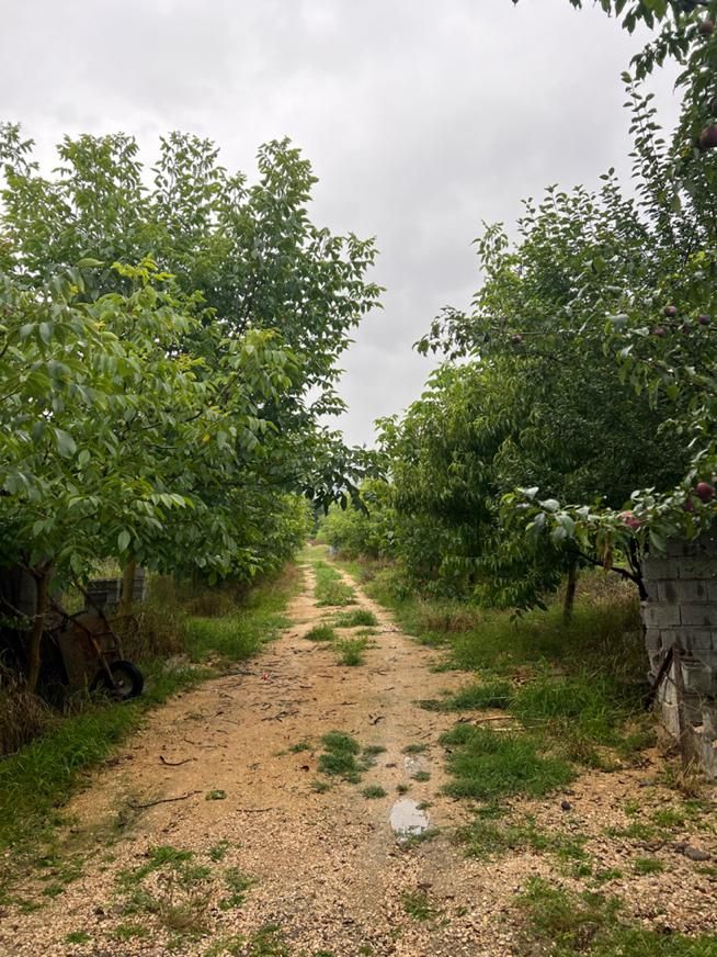 17 هزار متر باغ سند تک برگ ۴۰۰متر داخل بافت ییلاقی|فروش زمین و ملک کلنگی|زیرآب, |دیوار