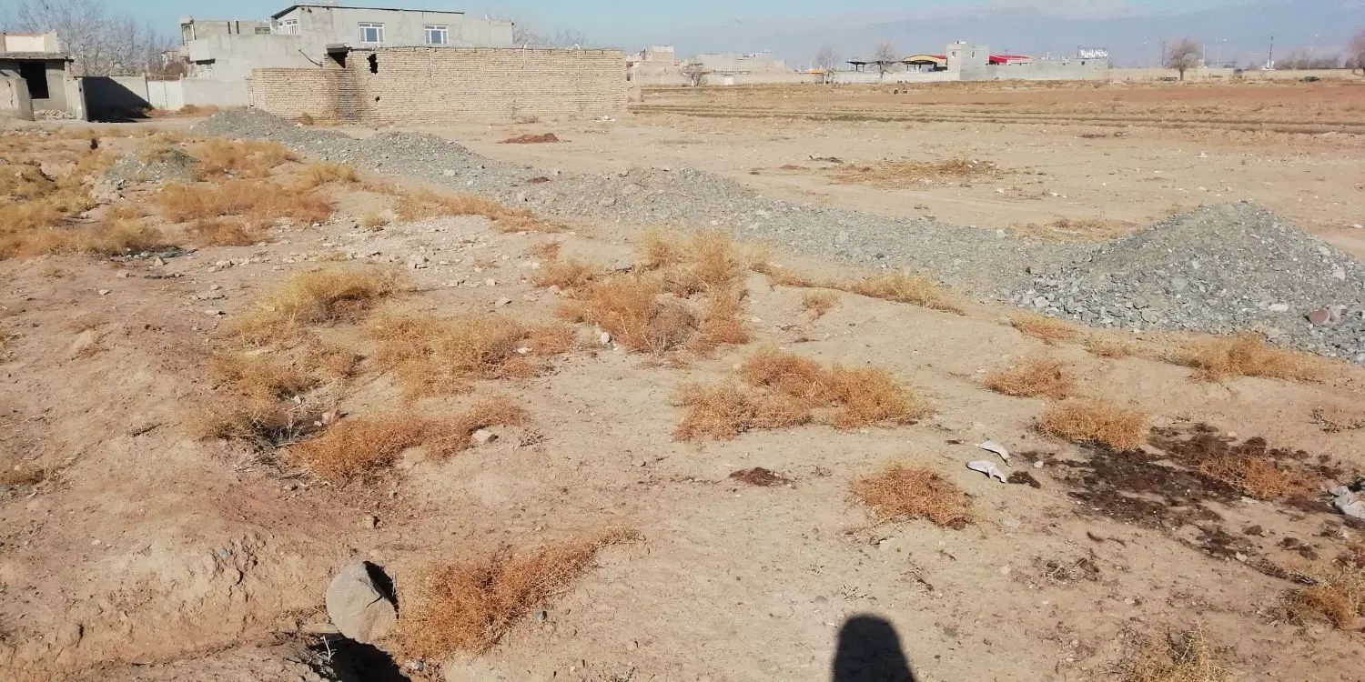 زمین با متراژ ۱۰۳ متر انتهای فرحبخش شرقی|فروش زمین و ملک کلنگی|نیشابور, گنبد سبز|دیوار