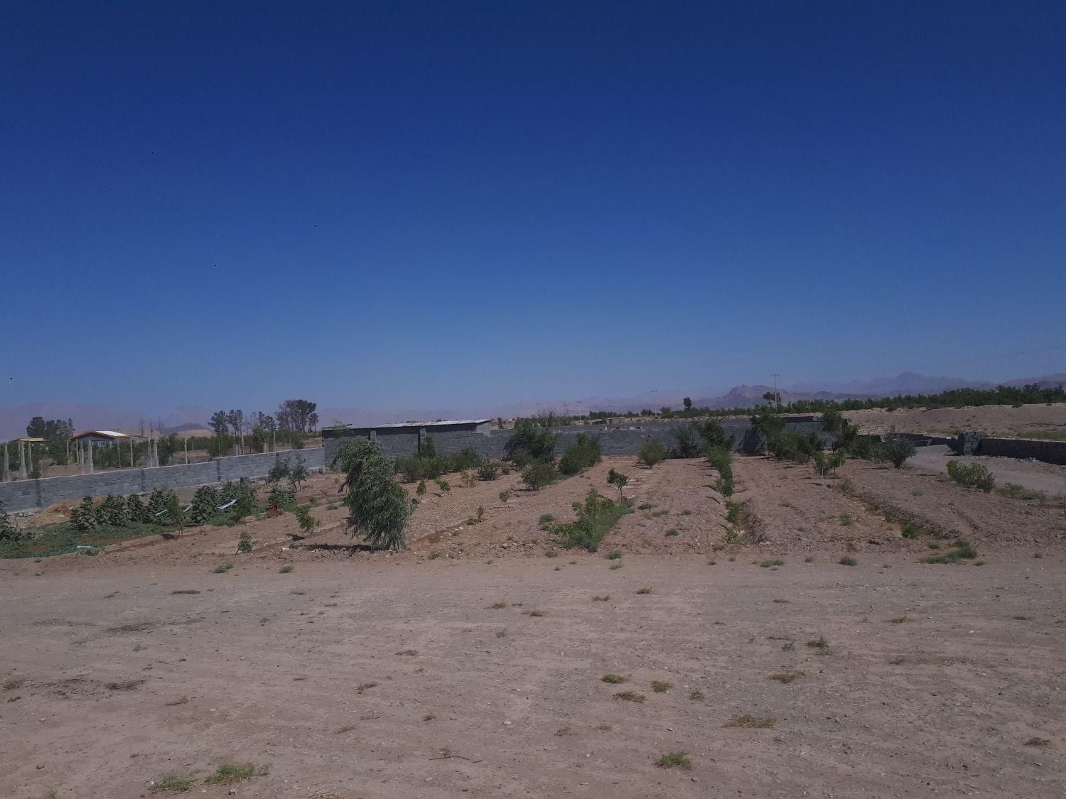 تصویر 2