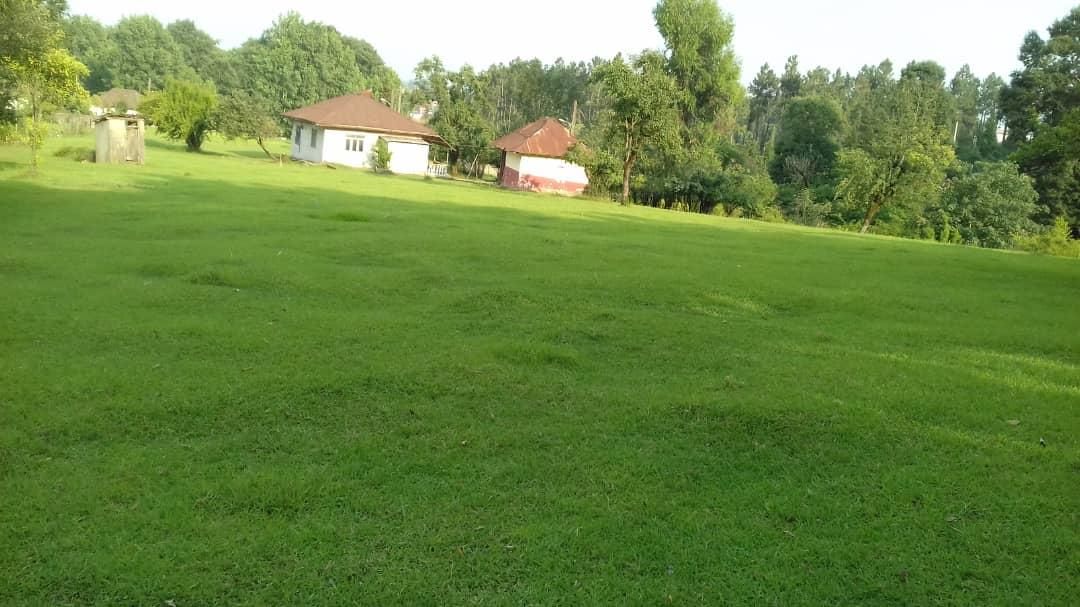 ویلای قدیمساز جنگلی ۱۲هزار متری ، رضوانشهر|فروش زمین و ملک کلنگی|رضوانشهر, |دیوار