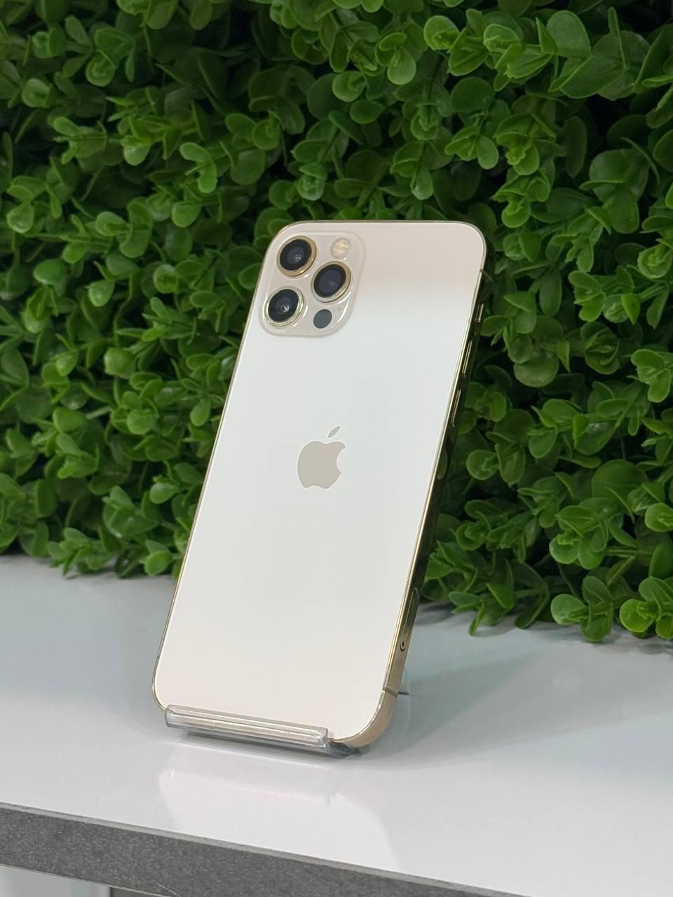 اپل iPhone 12 Pro با حافظهٔ ۲۵۶ گیگابایت|موبایل|کرج, مهرویلا جنوبی|دیوار