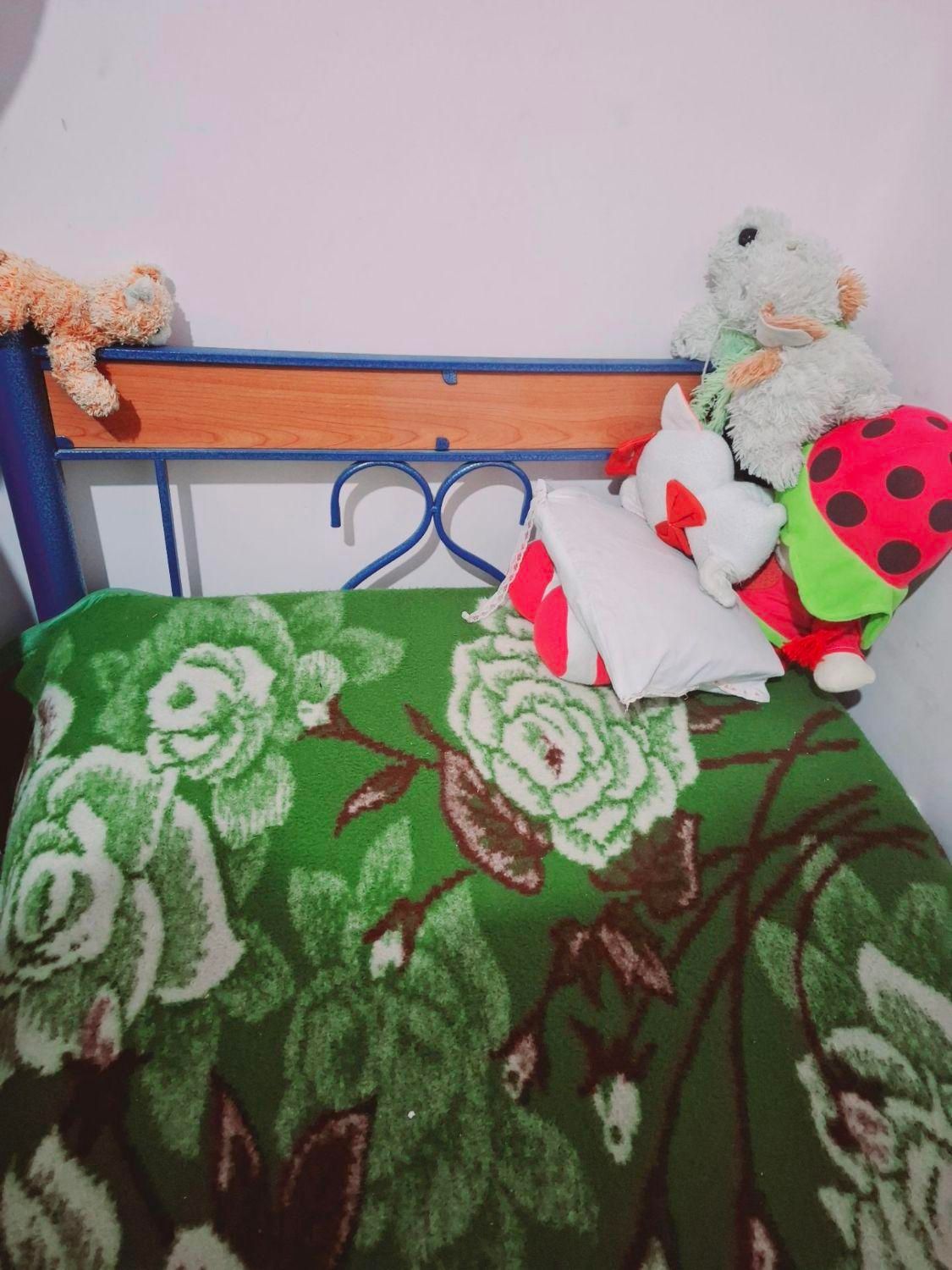 تخت فرفوژه یک نفره|تخت و سرویس خواب|کرمان, |دیوار
