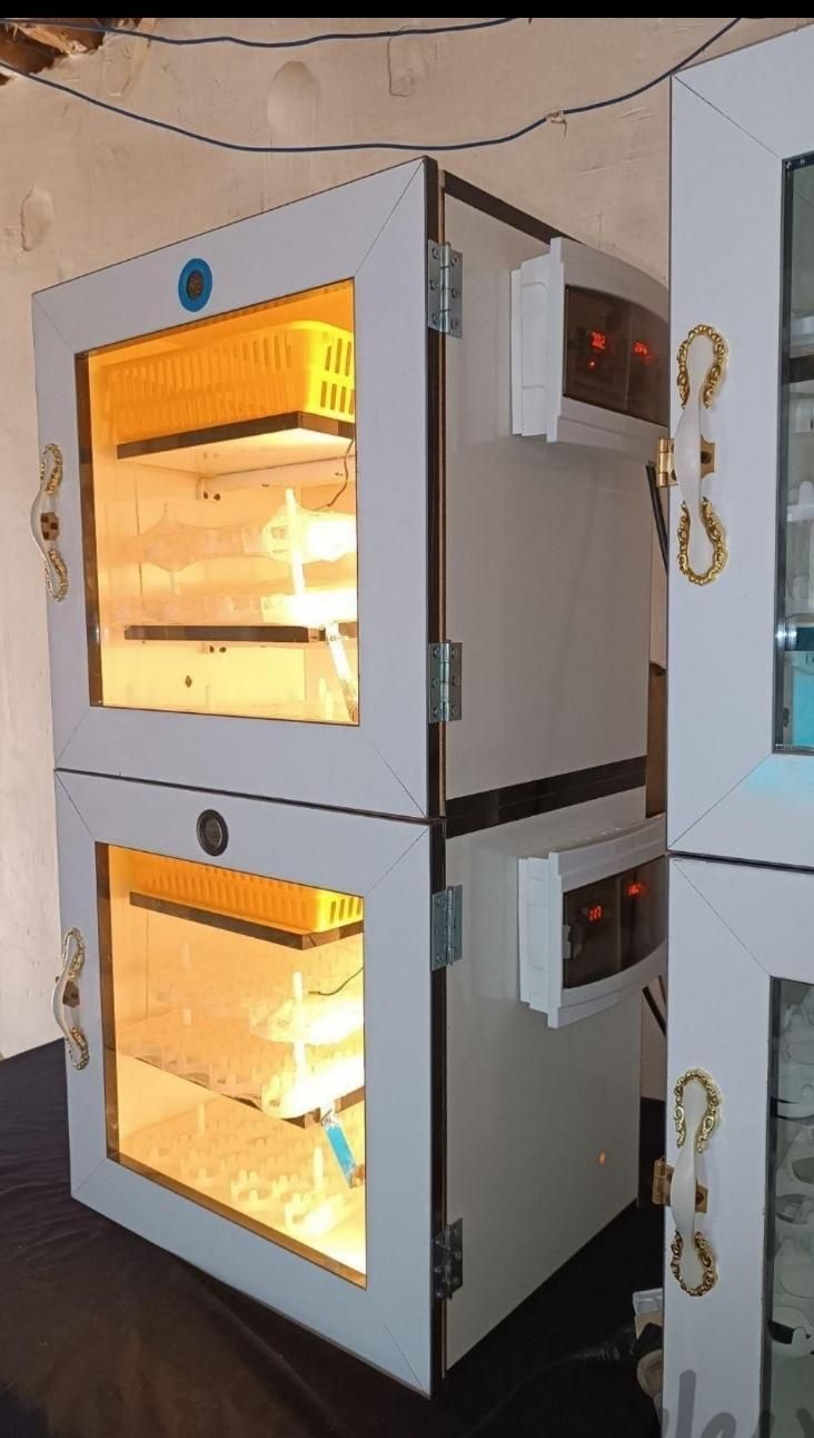 دستگاه جوجه کشی|لوازم جانبی حیوانات|سنندج, |دیوار