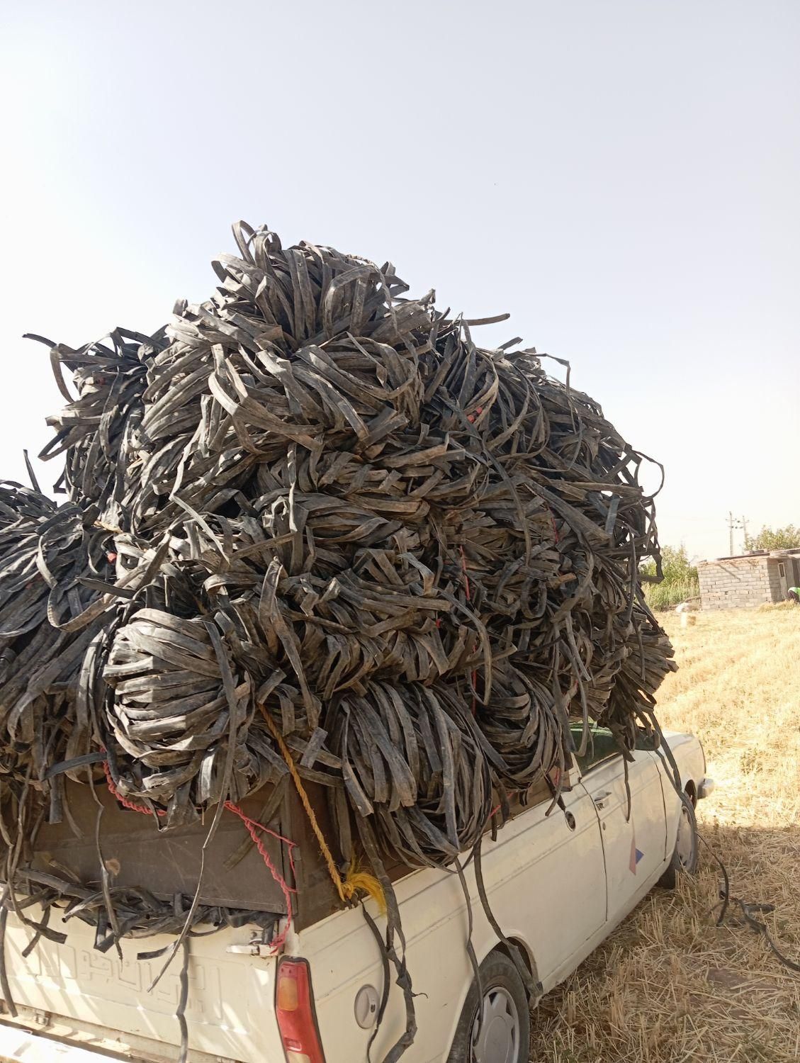 خرید و فروش انواع طیف محمدرضا علیزاده|حراج|اقبالیه, |دیوار