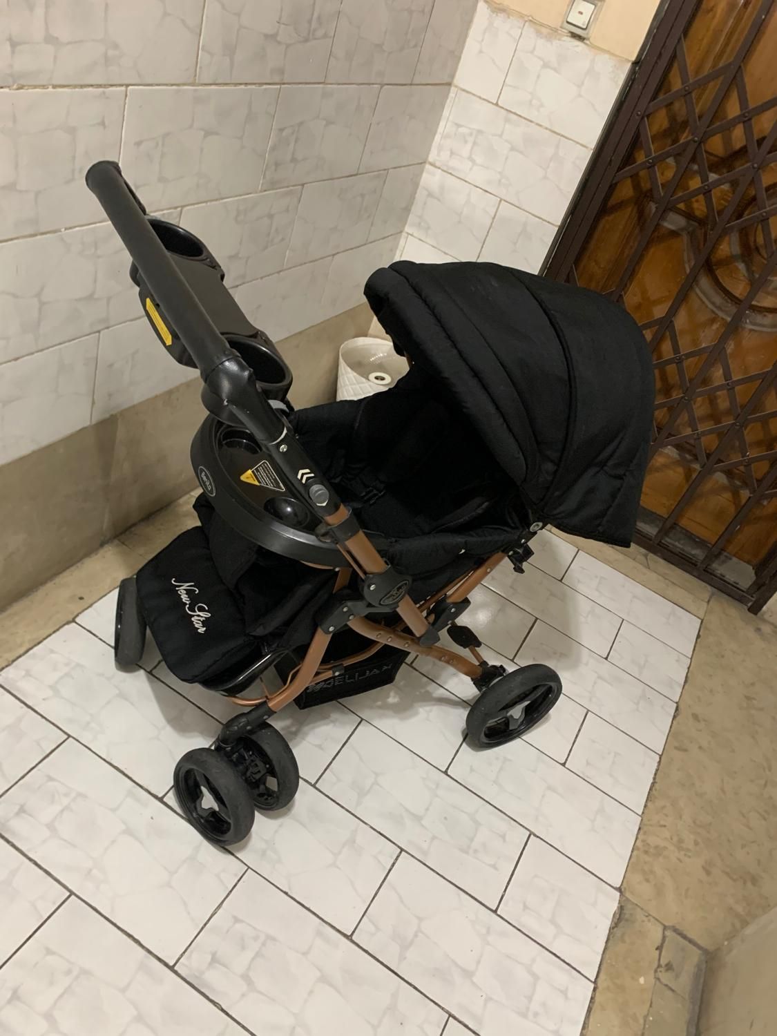 کالاسکه و کریر دلیجان بنیتا|کالسکه و لوازم جانبی|ری, سیزده آبان|دیوار