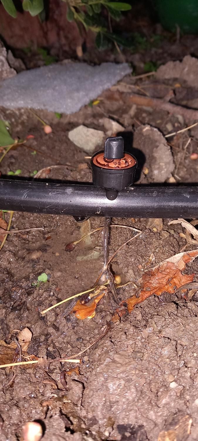 آبیاری قطره ای و پمپ های آبرسانی|خدمات باغبانی و درختکاری|تهران, چیتگر جنوبی|دیوار