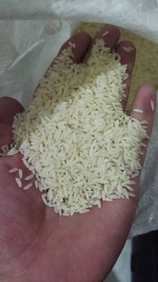 برنج طارم هاشمی با تضمین برگشت کالا|خوردنی و آشامیدنی|تهران, آشتیانی|دیوار