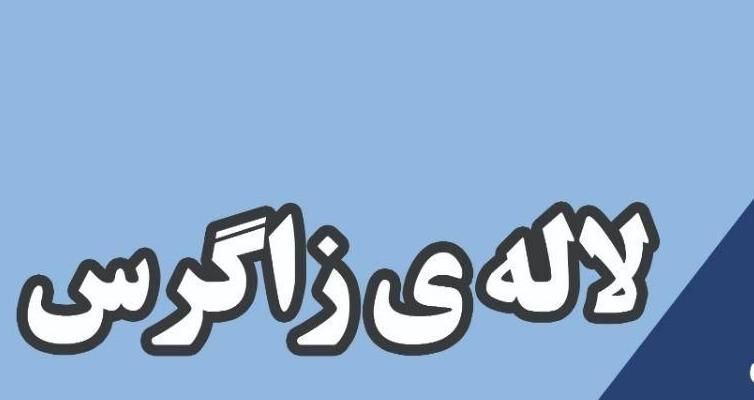 مهارت بیاموز، دیپلم بگیر، مهاجرت کن|خدمات آموزشی|اهواز, نادری|دیوار