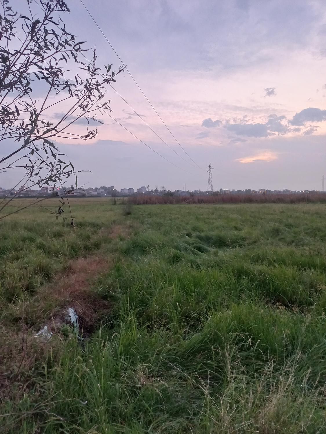 فروش شالیزار 900 متری عینک|فروش زمین و ملک کلنگی|رشت, نخودچر|دیوار