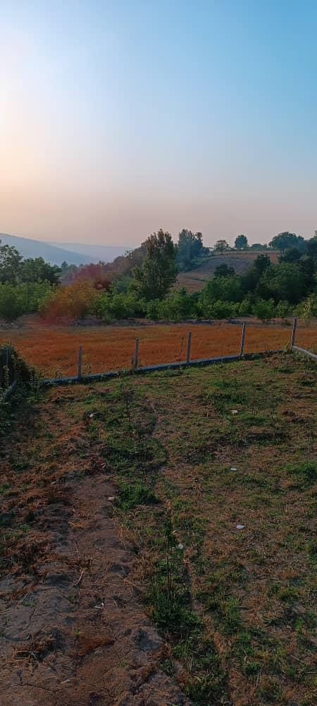 فروش زمین ۲۳۰ متری زرین آباد ساری ۳۶۰ میلیون|فروش زمین و ملک کلنگی|ساری, |دیوار