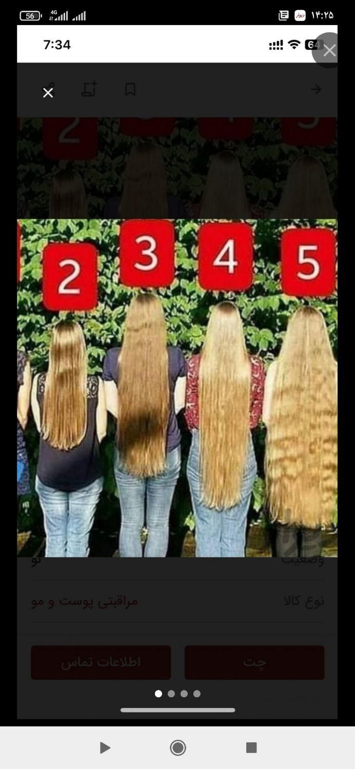 خرید مو خریدار موها اصلی ساچلی|آرایشی، بهداشتی، درمانی|زنجان, |دیوار