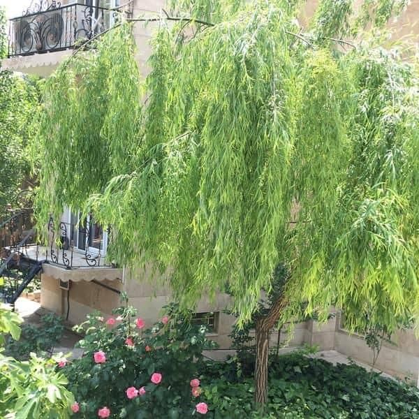 تهاتر و فروش خانه ۱۳۰۰متری در بومهن باتهران|فروش خانه و ویلا|بومهن, |دیوار
