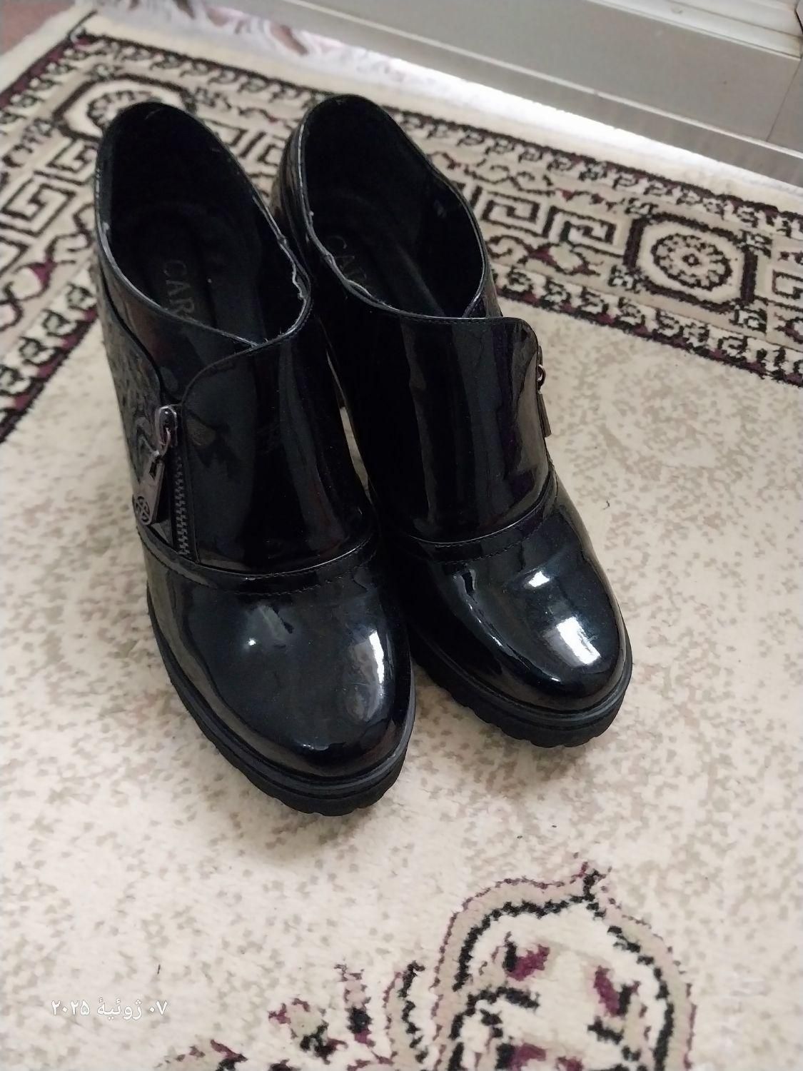 کفش زنانه|کیف، کفش، کمربند|اهر, |دیوار