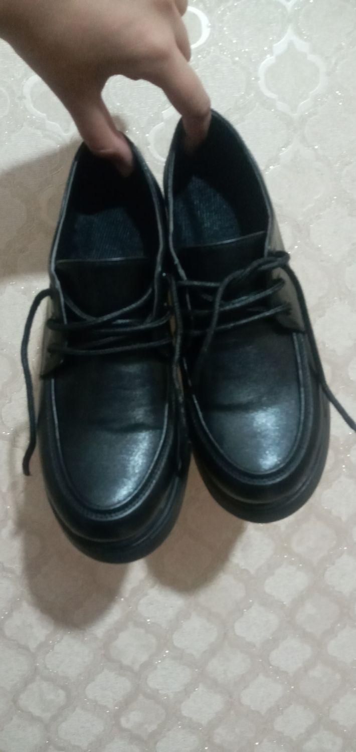 کفش لوفر شیک و نو به دلیل سایز فروخته میشه|کیف، کفش، کمربند|میاندوآب, |دیوار