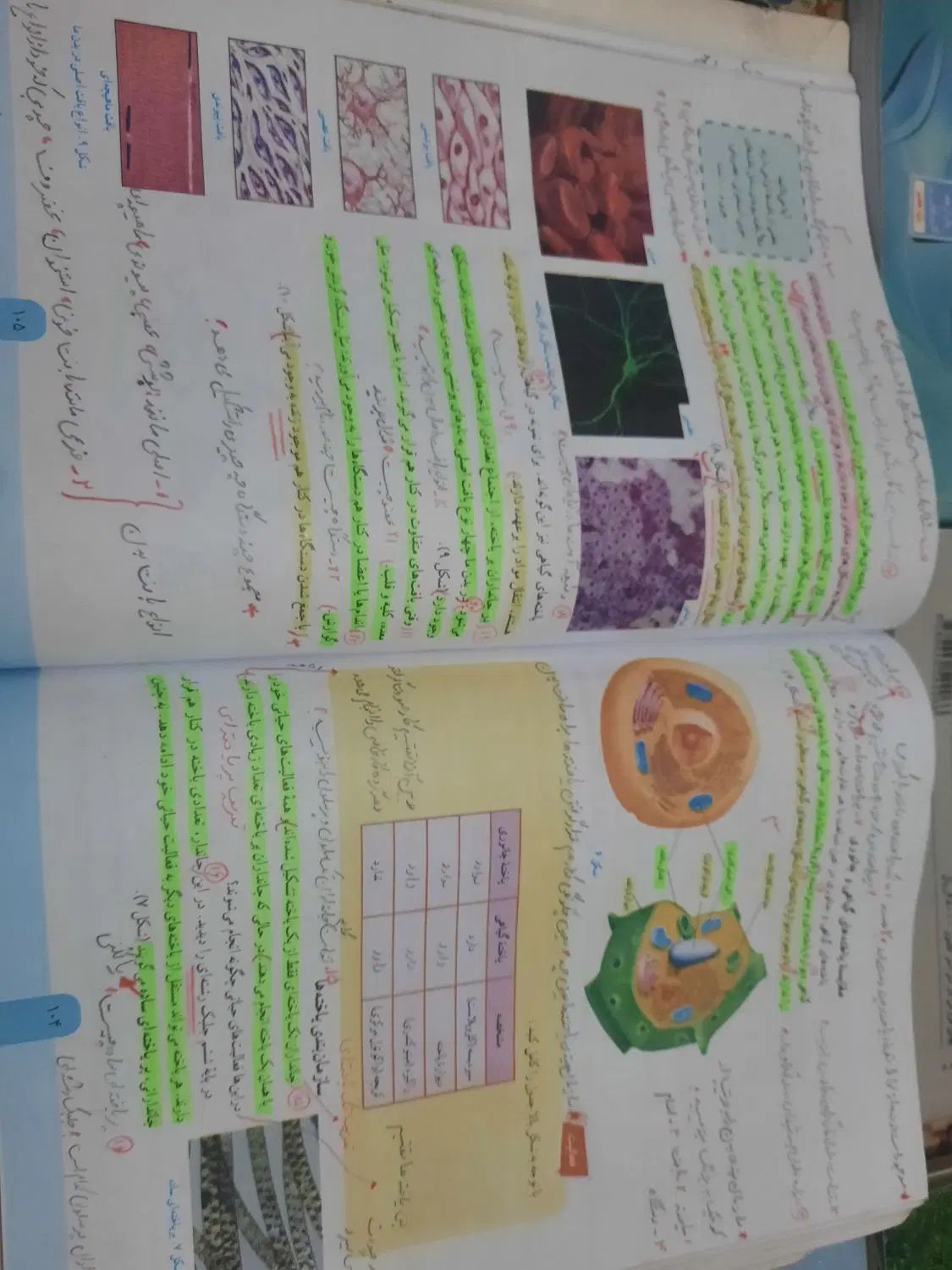 کتابهای درسی هفتم|کتاب و مجله آموزشی|مشهد, رضاشهر|دیوار