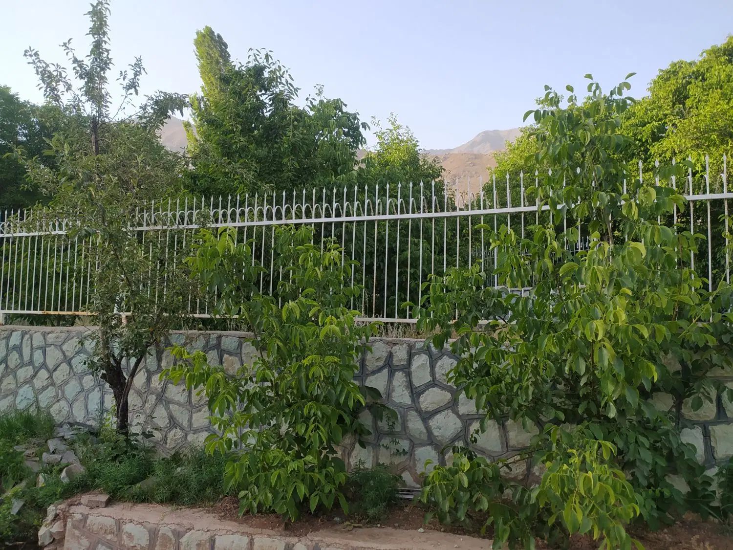 مشارکت در ساخت 320 متر بر و گذر عالی  پهنه R|مشارکت در ساخت املاک|تهران, بهار|دیوار