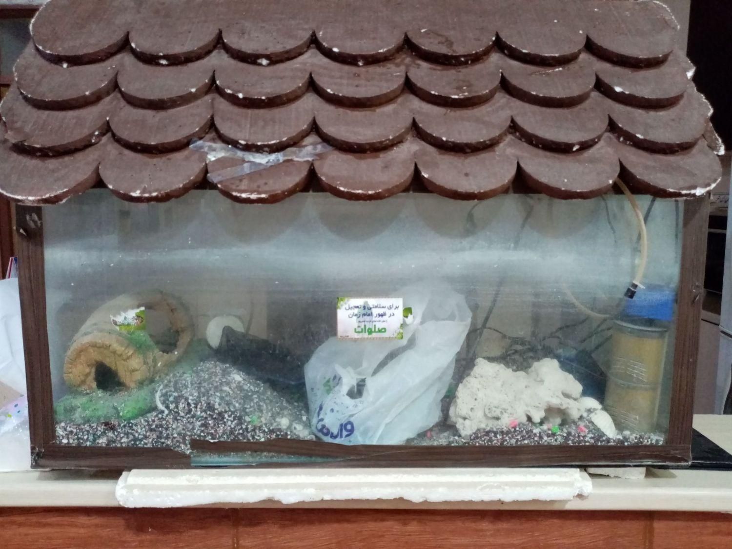 آکواریوم|ماهی|زاهدان, |دیوار