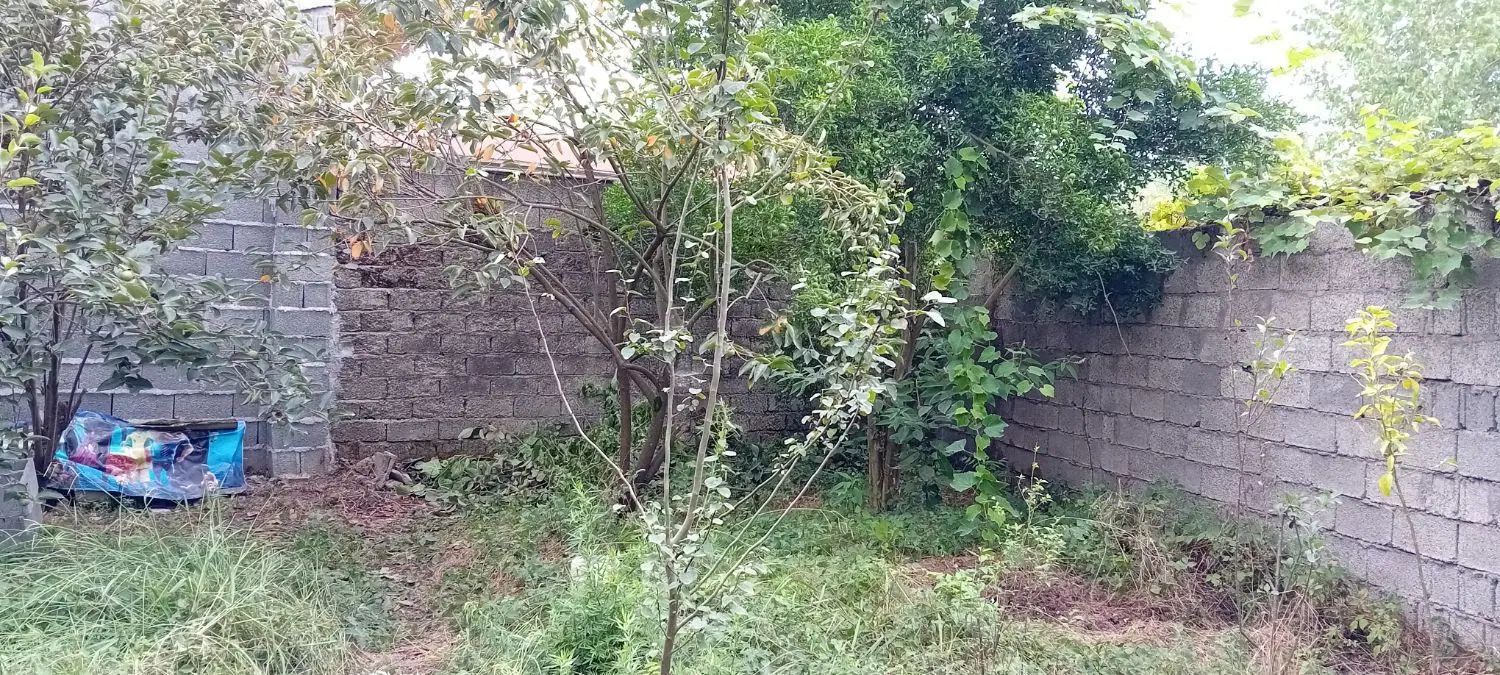 فروش ۲۹۱ متر زمین مسکونی در روستای منگوده. گلسار|فروش زمین و ملک کلنگی|پیربازار, |دیوار