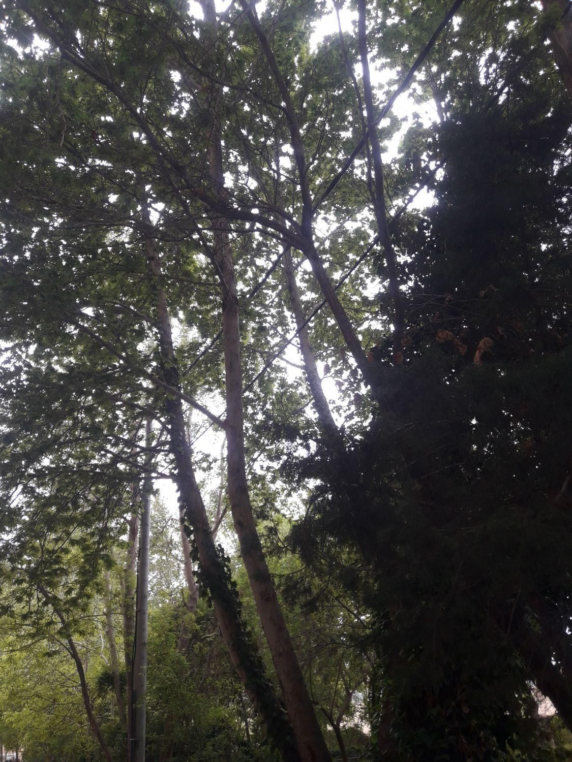 آپارتمان 107متر/2خواب /ویومادی صفه/طراحی مدرن شیک|پیش‌فروش املاک|اصفهان, مهدیه|دیوار