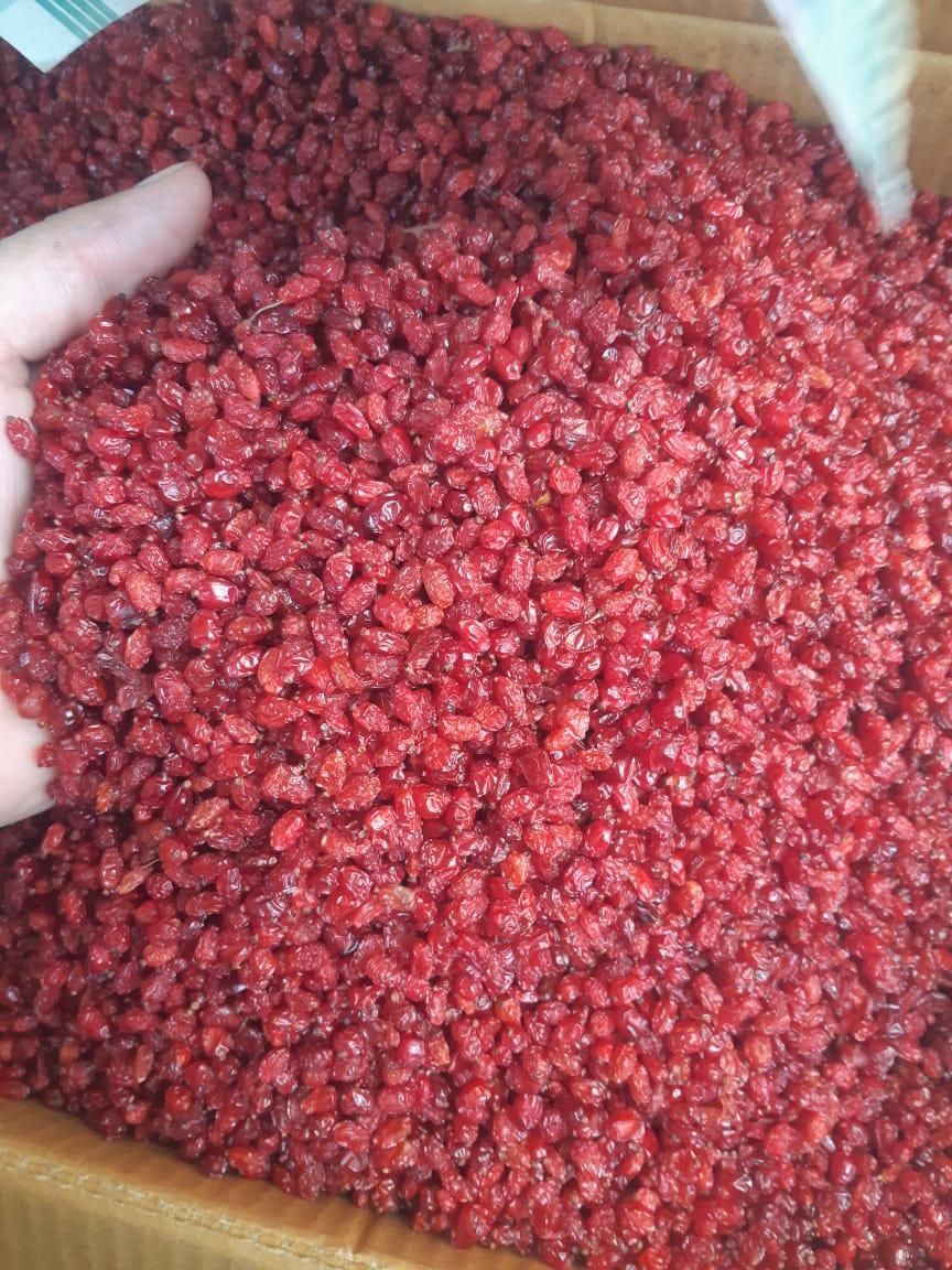 زرشک پفکی و خشکبار به قیمت عمده فروشی|خوردنی و آشامیدنی|اصفهان, پروین|دیوار