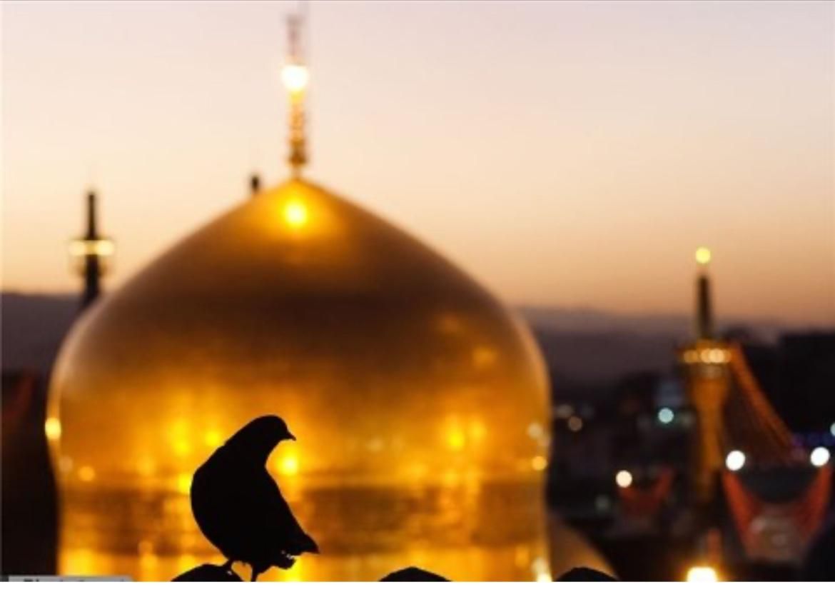 آفر تور هوایی مشهد|تور و چارتر|اصفهان, وحید|دیوار