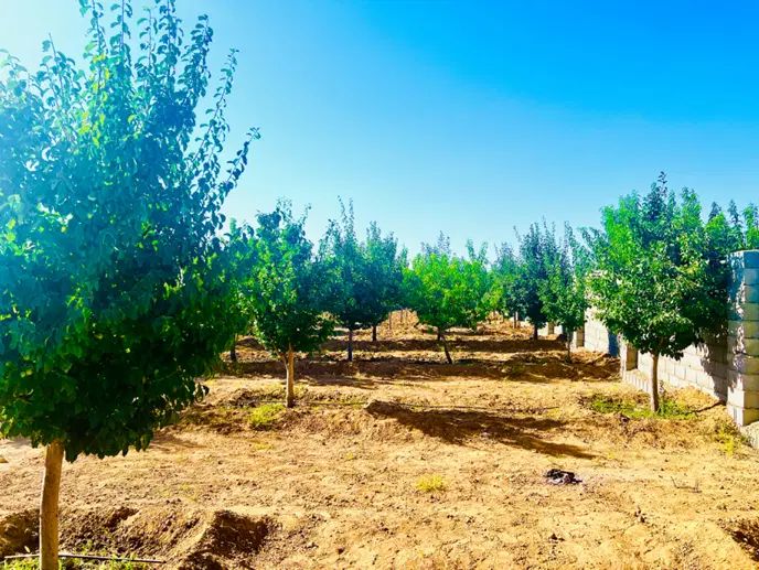 باغ1200متر درختان جنگی آب برق سند شاهنامه گوارشک|فروش زمین و ملک کلنگی|مشهد, توس فردوسی|دیوار