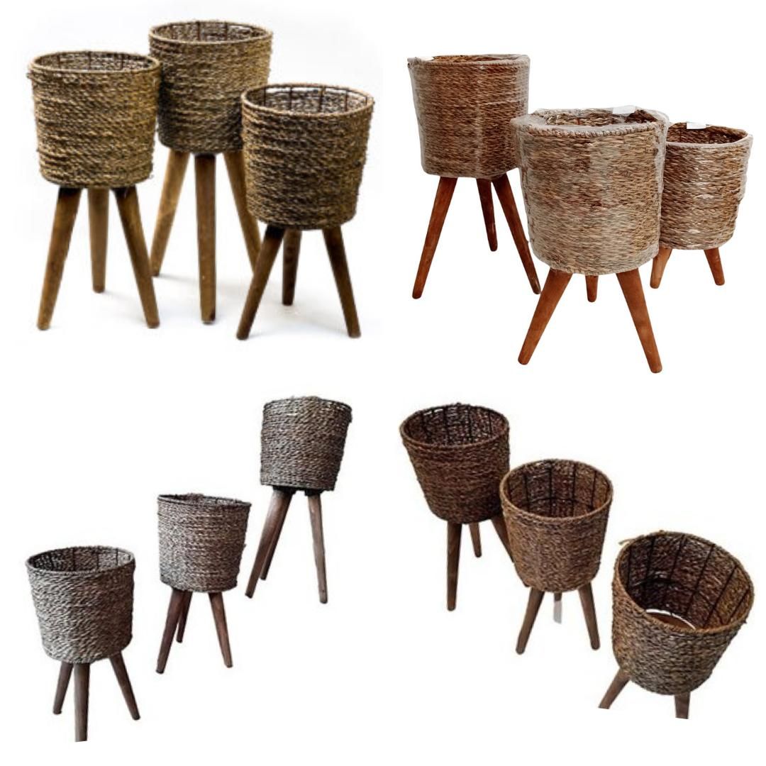 استند پایه گلدان دور حصیری سه تایی شفلرا آگلونما|گل و گیاه طبیعی|قم, نیروگاه|دیوار