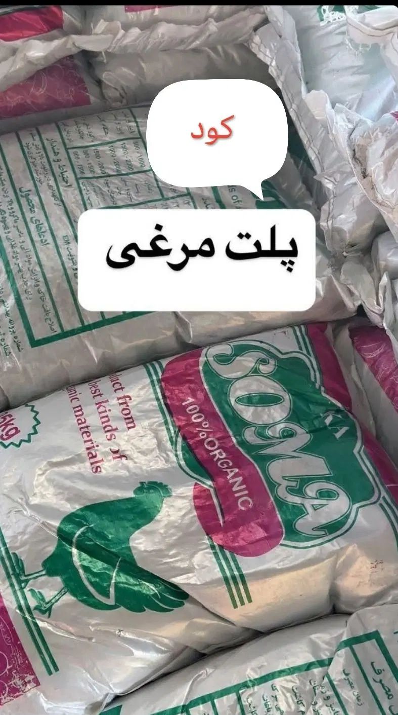 کّوّدّ مْرْغْیْ|گل و گیاه طبیعی|مشهد, انقلاب|دیوار