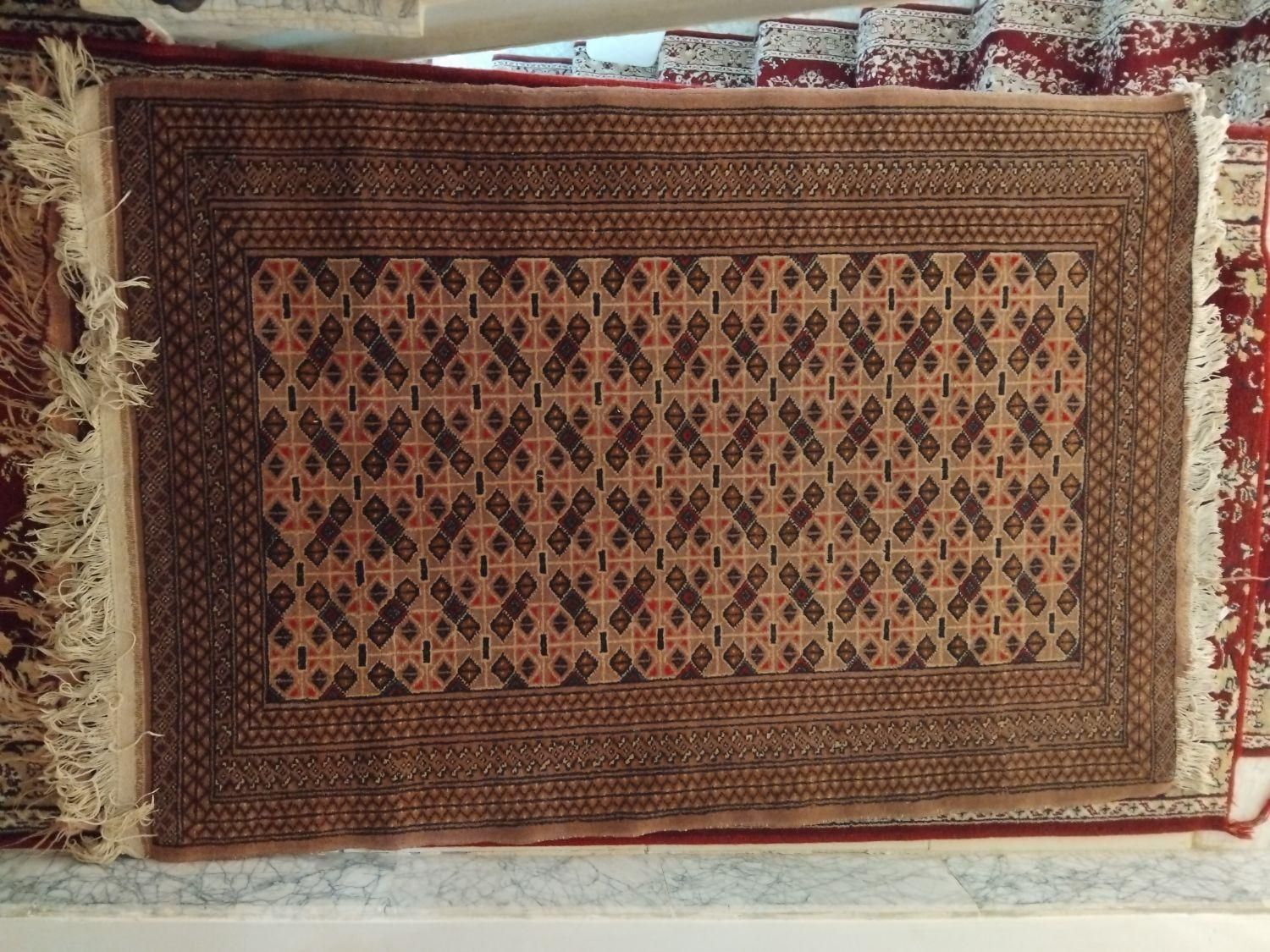 فرش دست باف خانه گی|فرش|تربت‌حیدریه, بی بی حسنیه|دیوار