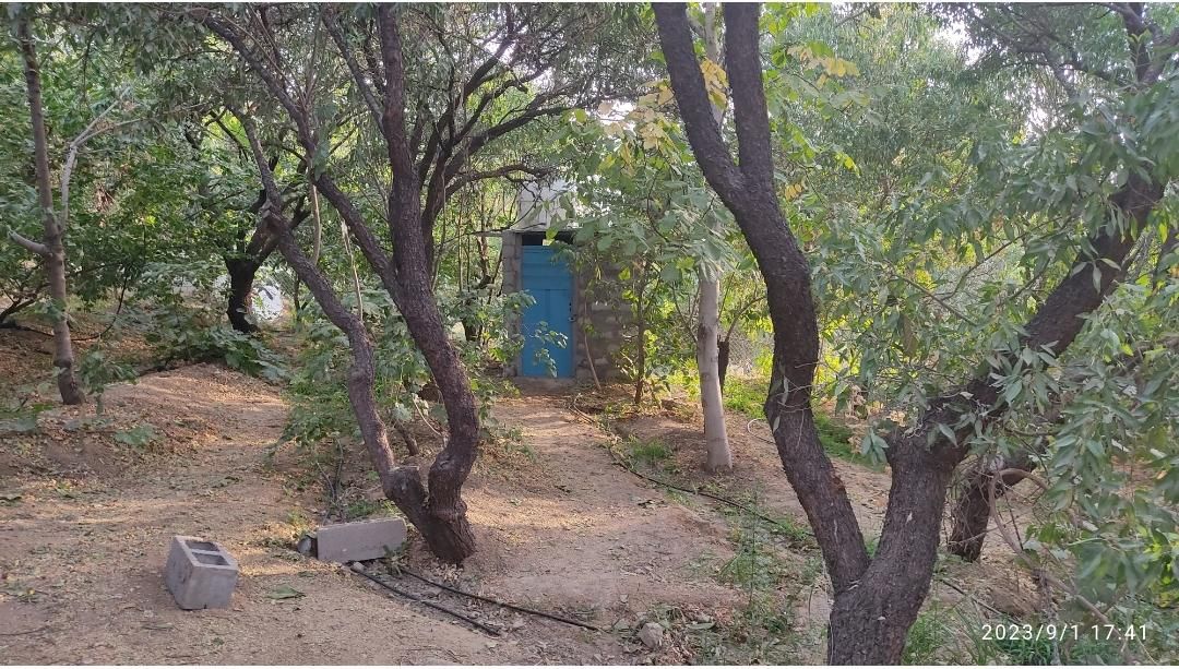 فروش باغ با سند و الاچیغ و.. در پل زمانخان سامان|فروش دفتر صنعتی، کشاورزی، تجاری|سامان, |دیوار