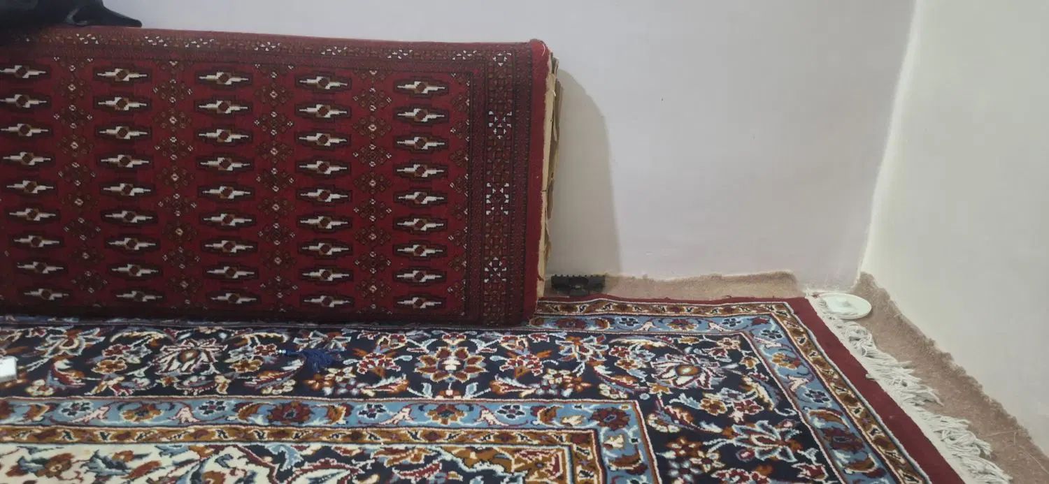 اجاره روزانه/هفتگی/ آپارتمان ۵۰ متری در کوی سیدی|اجارهٔ کوتاه‌مدت آپارتمان و سوئیت|مشهد, کوی سیدی|دیوار