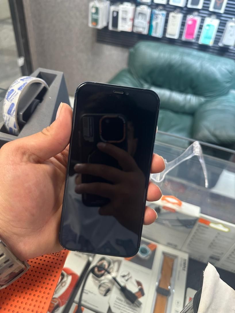 اپل iPhone 12 با حافظهٔ ۱۲۸ گیگابایت|موبایل|کرج, درختی|دیوار